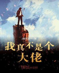 我真不是大佬游戏